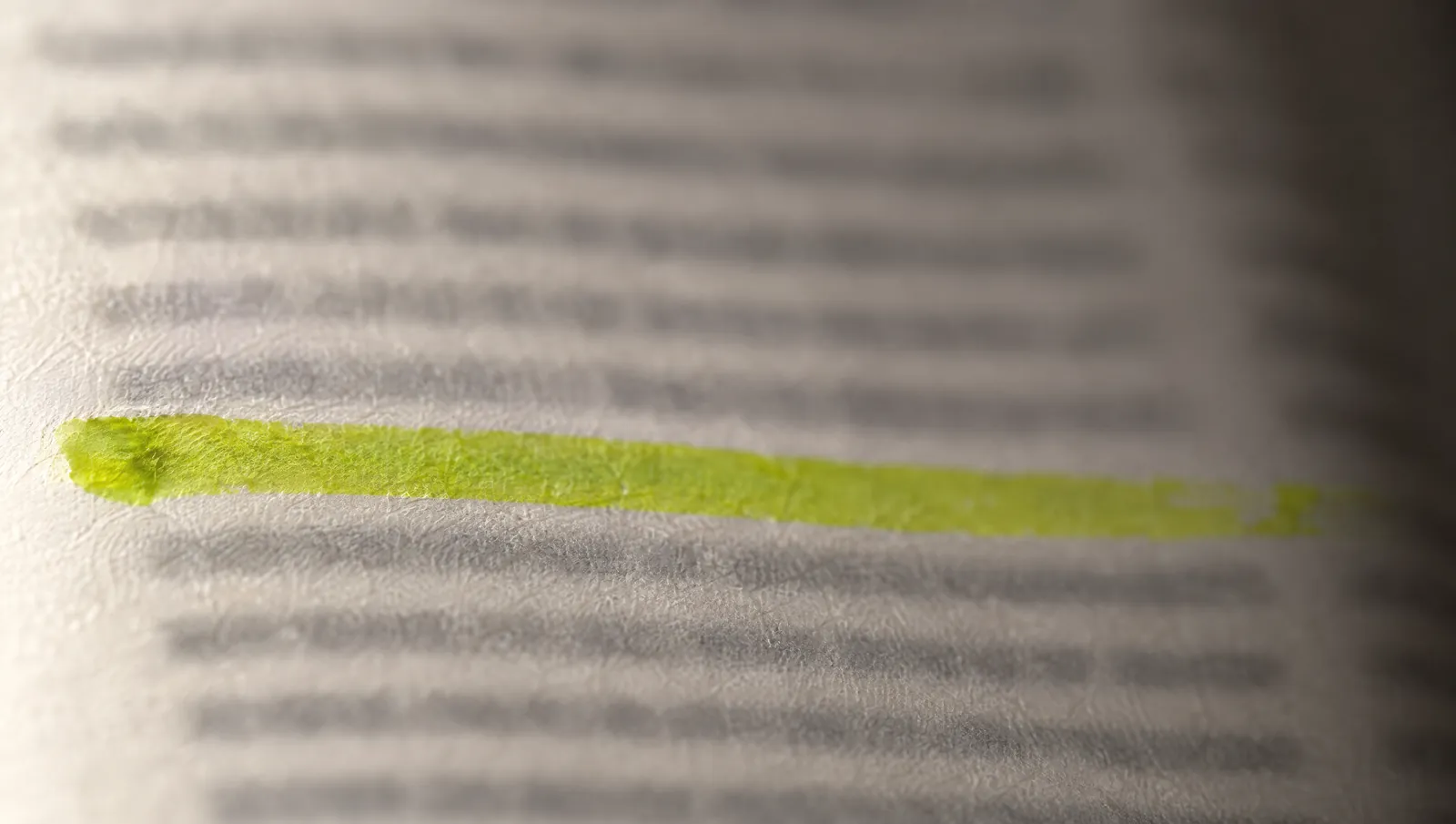 Close-up of an invoice line marked with a yellow-green highlighter